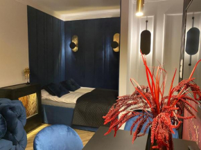 Family & Business Sauna Tężnia Apartments No16 Leśny nad Zalewem z Balkonem i Parkingiem oraz możliwością wyżywienia - Exclusive New!